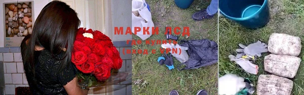 амф Протвино